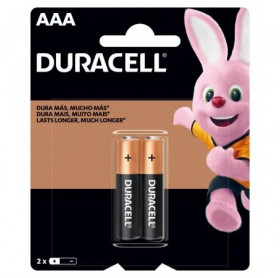 PILHA ALCALINA DURACELL 1.5V AAA C/2 MN2400B2