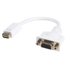 CABO MINI-DVI PARA VGA FEMEA 40CM GVBRASIL CBM040